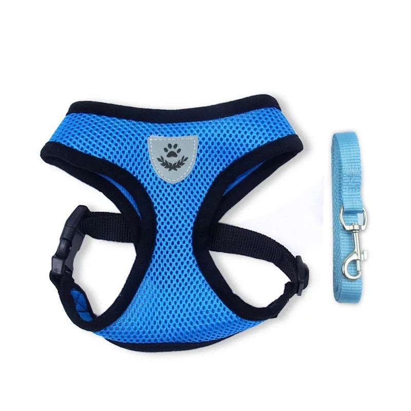 Dog and Cat Leash and Harness