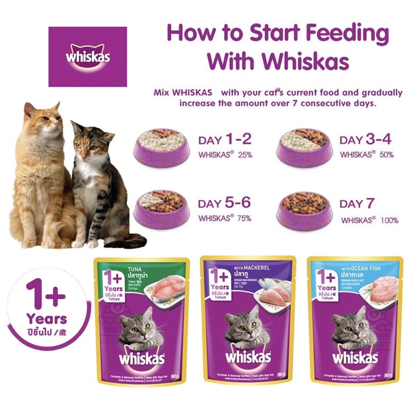For Cats How Much Wet Food Should A Kitten Eat How Many Ounces Of