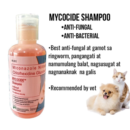 MYCOCIDE Shampoo Anti-fungal for Dogs and Cats with free Gloves