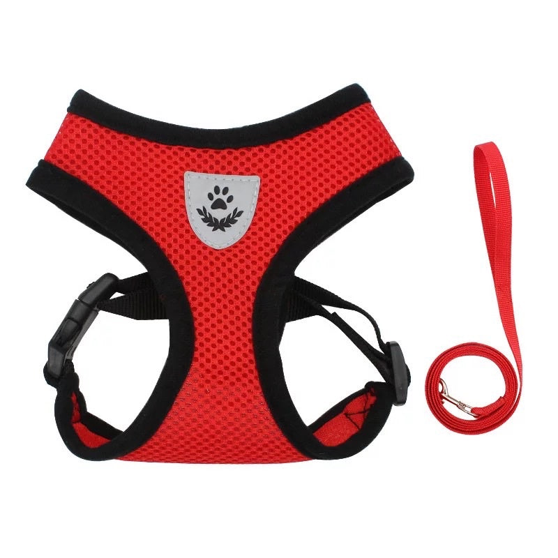 Dog and Cat Leash and Harness