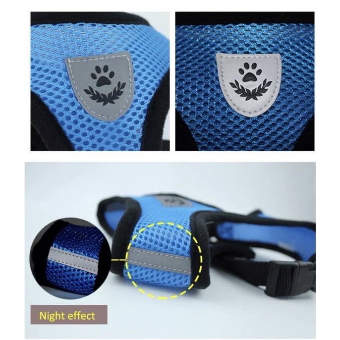 Dog and Cat Leash and Harness