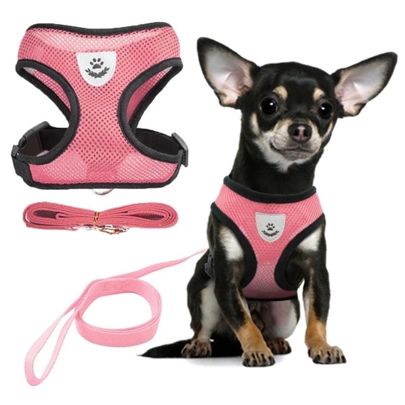 Dog and Cat Leash and Harness