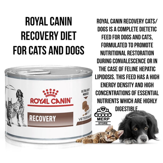 Royal Canin RECOVERY Diet Can Wet Food for Cats and Dogs 195g