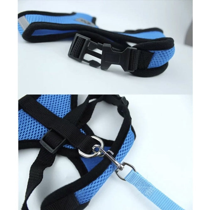 Dog and Cat Leash and Harness