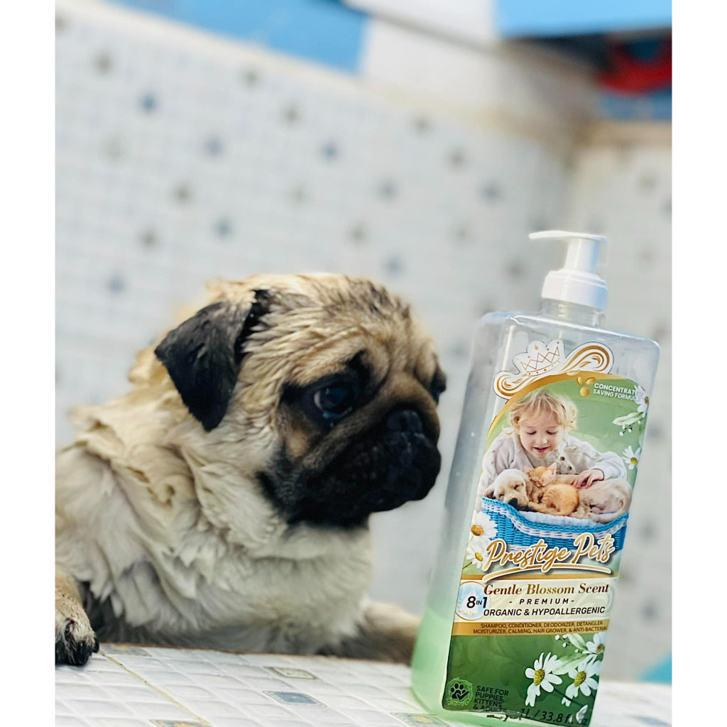 Dogs and Cats Prestige Pets Shampoo with Conditioner Organic and Hypoallergenic for all Ages