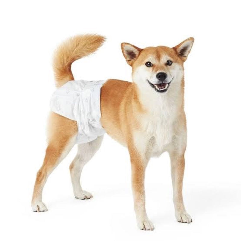 Pet Diaper - Disposable Tingi Male and Female