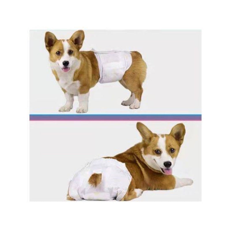 Pet Diaper - Disposable Tingi Male and Female