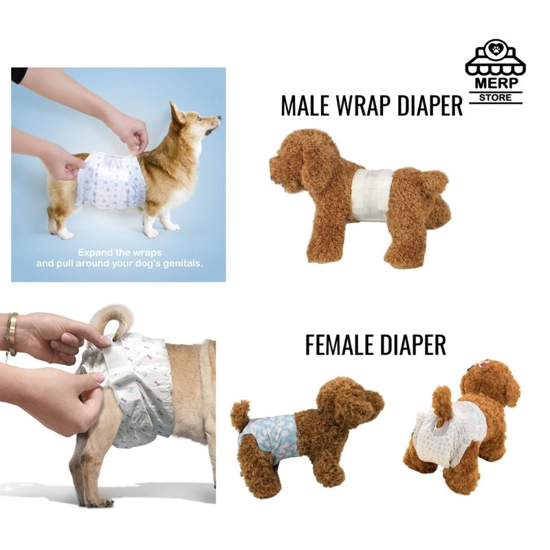 Dog diapers in store store