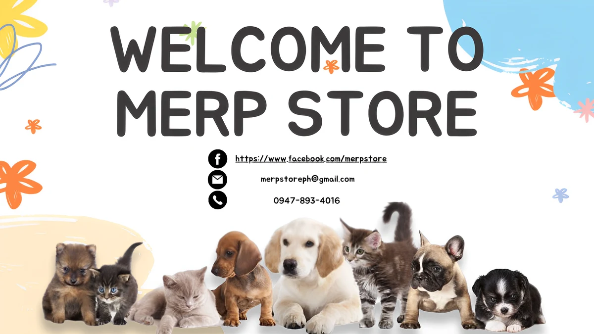 Welcome to MERP Store, with a happy family of cats and dogs